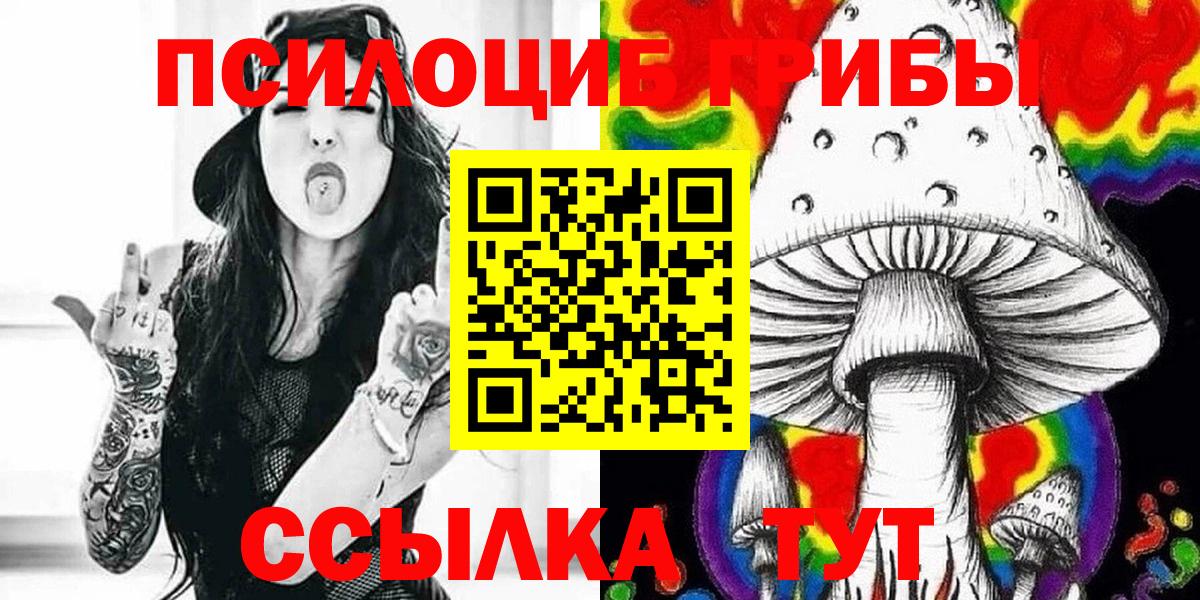 Железногорск  где купить наркотик  Вход с VPN  Галлюциногенные грибы Psilocybe 
